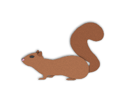 squirrel graphic